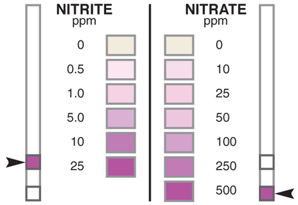 nitrite nitrate test strip, nitrite test strip, nitrate test strip, nitrite, nitrate, nitrite nitrate combo test strip
