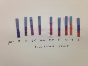 measuring pH with litmus paper, litmus paper, litmus test paper