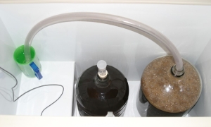 Homebrew setup, pH of fermenting beer, wort pH, pH 4.6-6.2, ph4662