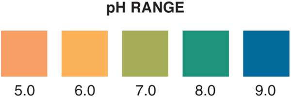 pH 5-9 test strip, pH 5-9, pH test strip