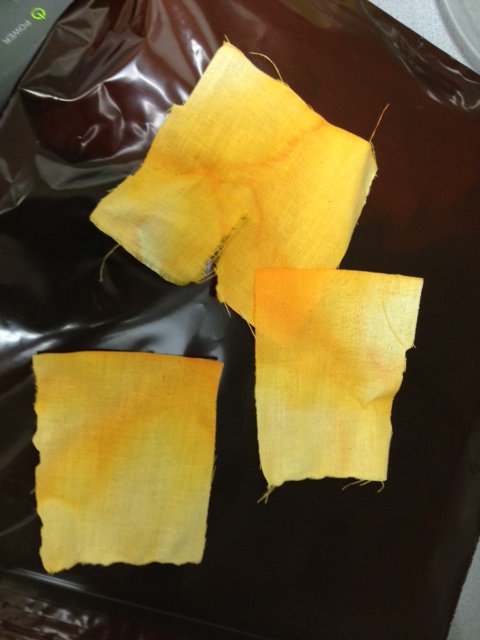 Ammonia Leak Cloth Sample