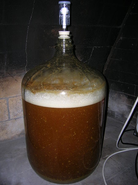 homebrewing yeast, yeast, top-fermenting yeast, dipslide