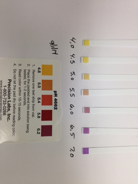 naald mechanisch spreker Why isn't the beer pH test strip color changing when I test my homebrew  mash? - Precision Laboratories Test Strips